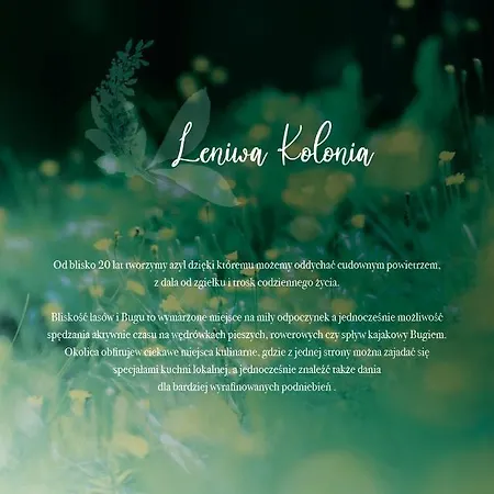 Willa Leniwa Kolonia Sarnaki Zewnętrze zdjęcie