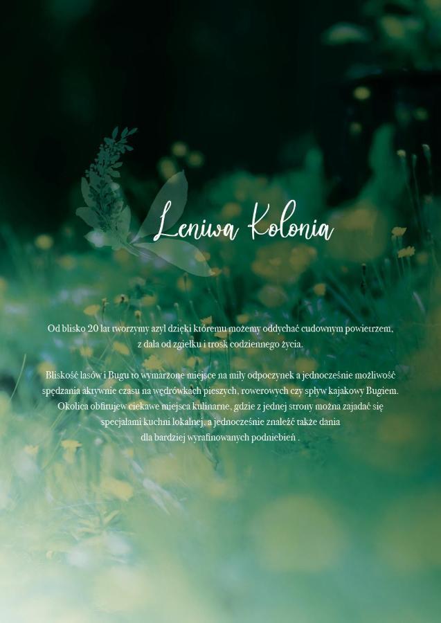 Leniwa Kolonia * Sarnaki